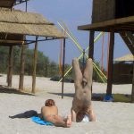 Nudism Party Beach Hot Girls