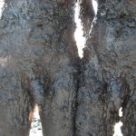 Nudism Party Beach Hot Girls