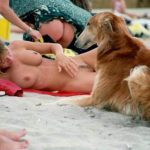 Nudism Party Beach Hot Girls