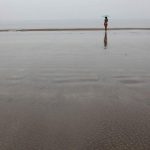 奥雷 “奥雷专集增补”