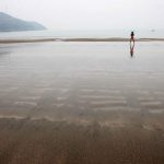 奥雷 “奥雷专集增补”