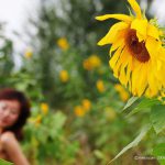 模特：习云波 《Autumn Light 2》