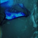 Starter [Kickapoo, Quinn]