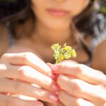 An Tsujimoto 辻本杏