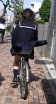 漕いでる自転車パンチラ画像まとめ