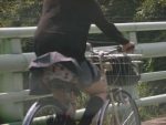 漕いでる自転車パンチラ画像まとめ