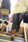 見えてるエスカレーターパンチラのエロ画像