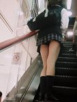 見えてるエスカレーターパンチラのエロ画像