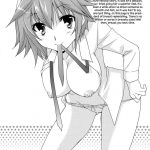 Chagashi Saiban Event-Only Book