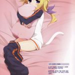 Indigo Algorithm REMASTER