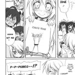 IS -Icha Icha Stratos-