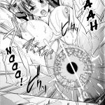 Inyouchuu Slave Heroines Vol.9