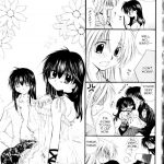 Inuyasha Stardust Drops