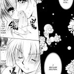 Inuyasha Stardust Drops