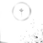 Inuyasha Stardust Drops