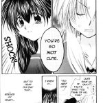 Inuyasha Stardust Drops