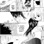 Inuyasha Stardust Drops