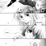 Inuyasha Stardust Drops