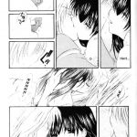 Inuyasha Stardust Drops