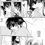 Inuyasha Stardust Drops