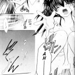 Inuyasha Stardust Drops