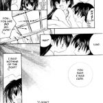 Inuyasha Stardust Drops