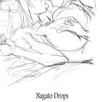 Nagato Drops