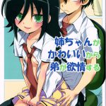 Nee-chan ga Kawaii kara Otouto ga Yokujo suru