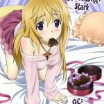 That’s a Very Instructive Lesson, Dunois-san!