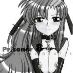 PRISONER 8 Miserable Birds