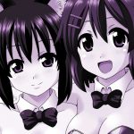 Azu-nyan to Nyan-Nyan