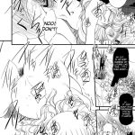 JAPRICOT FIELDS FOREVER