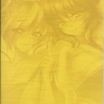 Jounin Bushi Kouryaku