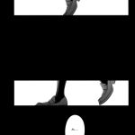 In Spring, In Summer, In Autumn, In Winter. Always With You!