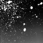 In Spring, In Summer, In Autumn, In Winter. Always With You!