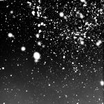 In Spring, In Summer, In Autumn, In Winter. Always With You!