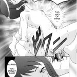 Secret File Next Shinobu No Arbeit Nikki