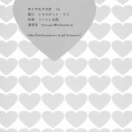 Yukiyanagi no hon 16 – Sherryl to Ranka no Idol ha Nante Suteki na Oshigoto