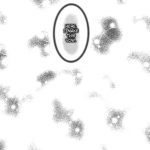 Happy Happy Wedding!