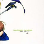 Lyrical Magical FATE GANBARU