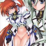 Nanoha-san ga Fukaku wo Totta!