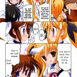 Nyuu NanoFate. I + II All Full Color Soushuuhen