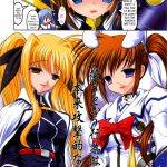 Nyuu NanoFate. I + II All Full Color Soushuuhen