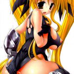 Nyuu NanoFate. I + II All Full Color Soushuuhen