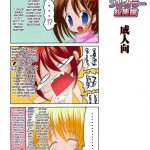 Nyuu NanoFate. I + II All Full Color Soushuuhen