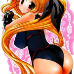 Nyuu NanoFate. I + II All Full Color Soushuuhen