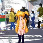 Nyuu NanoFate. I + II All Full Color Soushuuhen