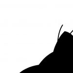 Proper Usage of Your Device