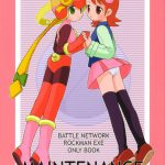 Mega Man Battle Network