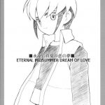 Mega Man Battle Network